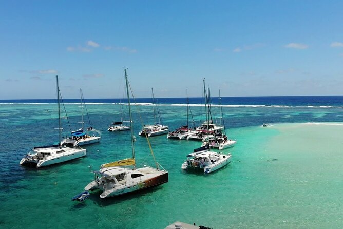 3 North Islands Catamaran Cruise With Lunch & Drinks on Island. - Customer Reviews and Feedback