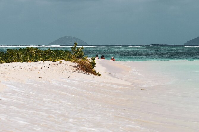 3 North Islands Catamaran Cruise With Lunch & Drinks on Island. - Highlights of the Cruise
