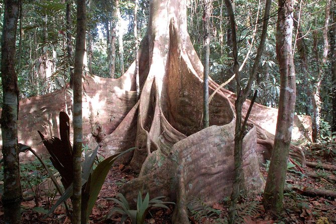 3 or 4-Day All Inclusive Napo Amazon Adventure With Accommodation in Eco Lodge - Inclusions and Requirements