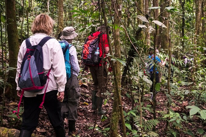 3 or 4-Day All Inclusive Napo Amazon Adventure With Accommodation in Eco Lodge - Reviews