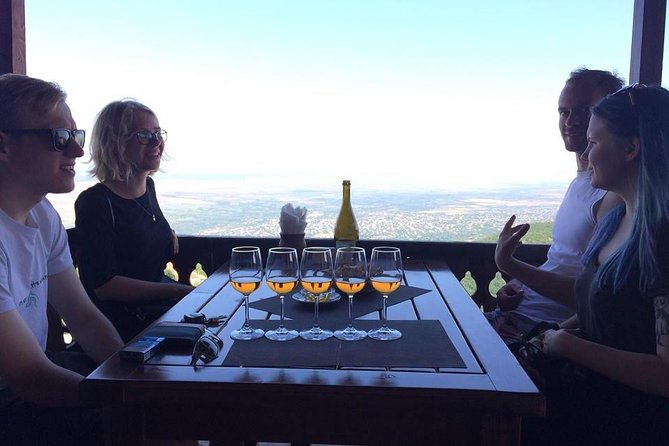 3 Organic Wineries Private Day Trip to Wine Province With Lunch and Tastings - Wine Tasting Experience