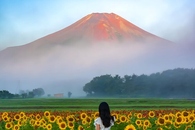 3 Perfect Days in Japan: Private Tokyo City, Mount Fuji & Kyoto - Communication and Confirmation Details