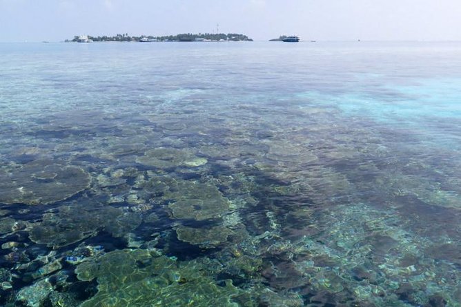 3 Point Snorkeling Safari - Whats Included in the Safari