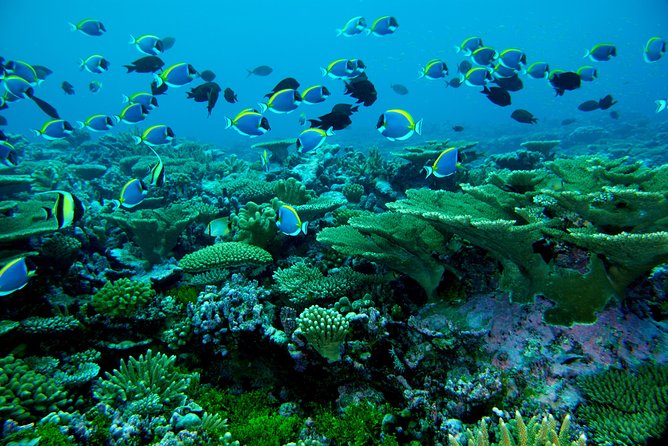 3 Point Snorkeling Safari - Tour Duration and Group Size