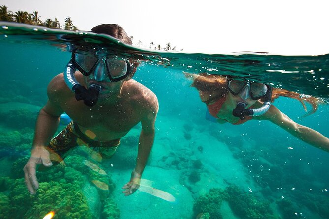 3-Stop Adventure: Stingray City and Snorkeling at Cayman Reefs - What to Expect