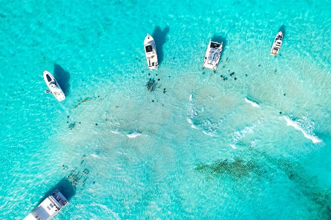 3-Stop Adventure: Stingray City and Snorkeling at Cayman Reefs - Accessibility Information