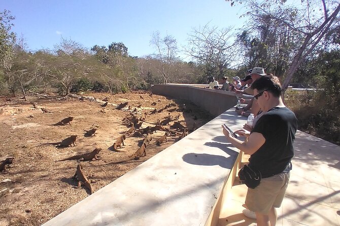 3 Tours in 1: Cave of Wonders, Altos De Chavon, Chocolate Factory - Booking Your Stay