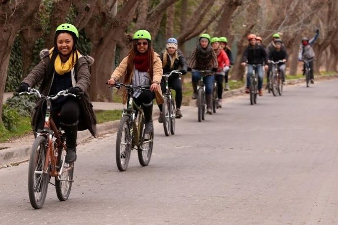 3 Wineries Biking Tour in Chacras De Coria With Lunch - Included Amenities