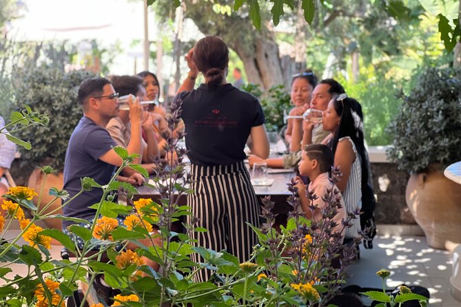 3 Wineries Wine Tasting & Greek Meal -Food and Wine Pairing - First Winery: Local Vineyard
