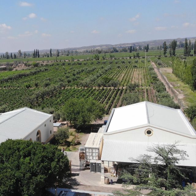 3 Wineries+Lunch With Unlimited Wine+Transfer Included - Traveler Feedback