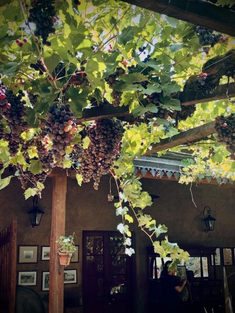 3 Wineries+Lunch With Unlimited Wine+Transfer Included - Frequently Asked Questions