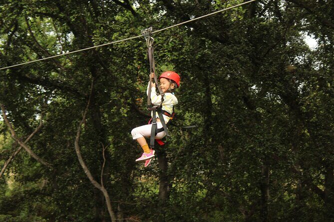 3 Ziplines & Dolphin Watching Snorkel Adventure - Who Should Consider This Tour?