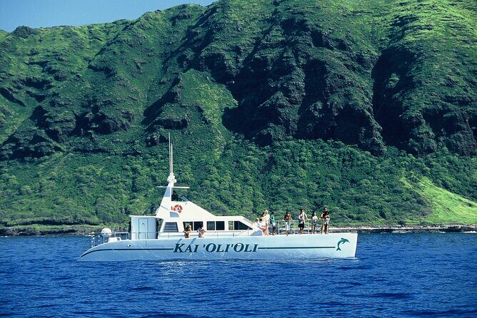 3 Ziplines & Dolphin Watching Snorkel Adventure - FAQ