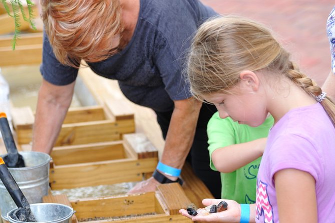 30-Minute Airboat Ride, Lunch, Gem Mining and Park Admission - Additional Information