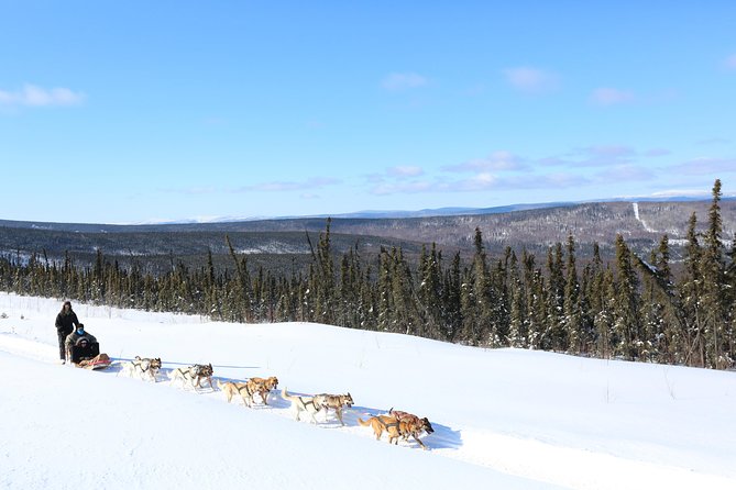 30-Minute Dog Sledding Tour in Fairbanks (Without Transportation) - Key Points