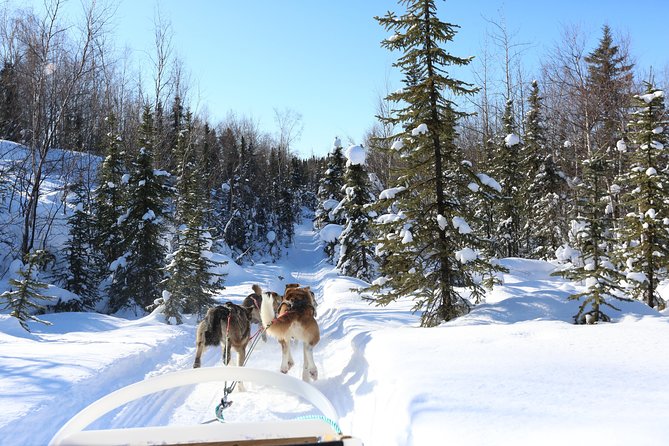 30-Minute Dog Sledding Tour in Fairbanks (Without Transportation) - Meeting Point and Directions