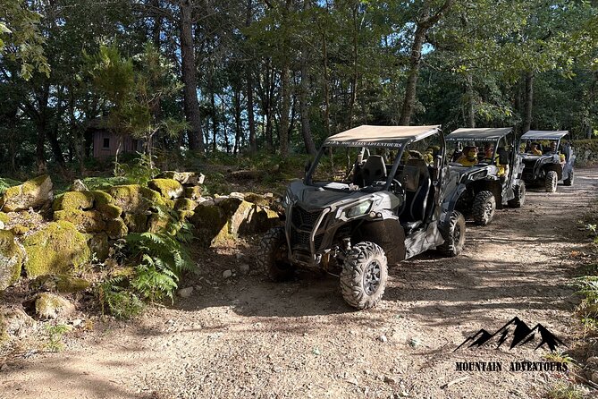 30 Minutes Buggy Ride - Quick Points