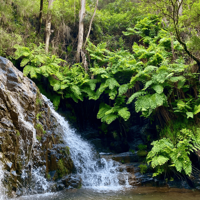 30 Minutes From Porto: Waterfalls, Hiking and Picnic - Itinerary Highlights
