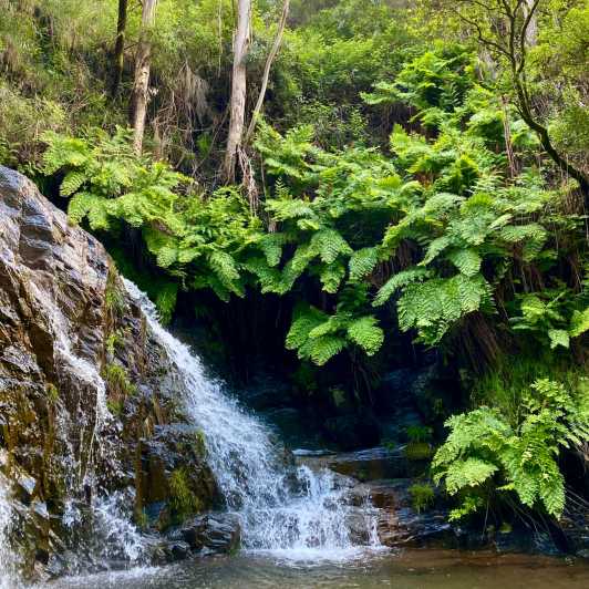 30 Minutes From Porto: Waterfalls, Hiking and Picnic - Scenic Trails and Landscapes