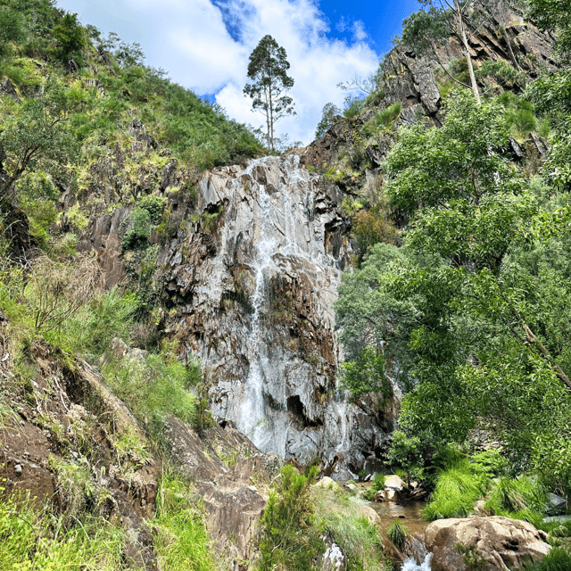 30 Minutes From Porto: Waterfalls, Hiking and Picnic - Meeting Point Details
