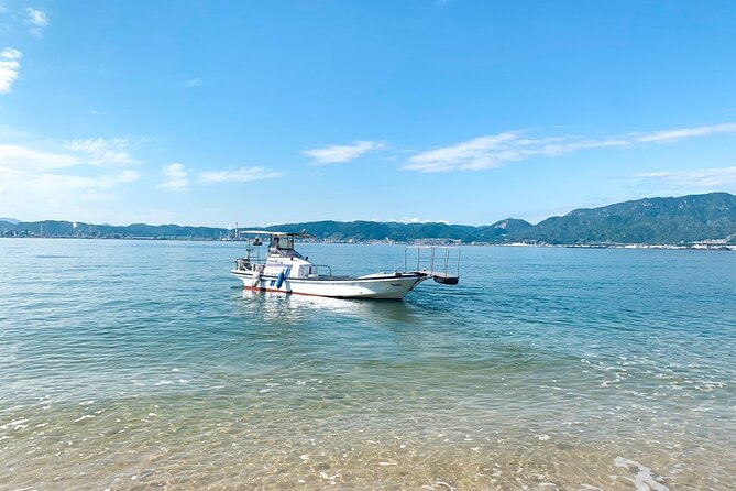 30 Minutes One Way Cruise From Miyahama Onsen to Miyajima - Cruise Overview and Details