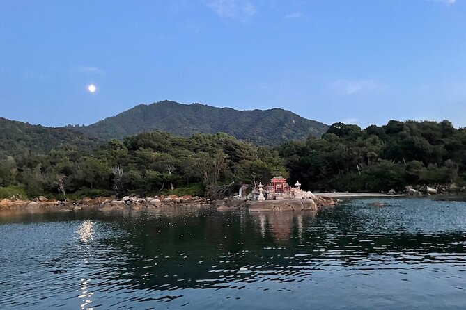 30 Minutes One Way Cruise From Miyahama Onsen to Miyajima - Onboard Amenities and Services