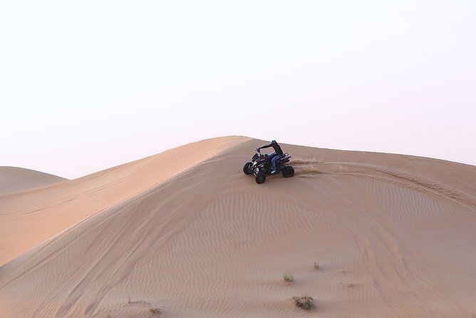 30 Minutes Private Quad Bike Ride in Desert - Reviews