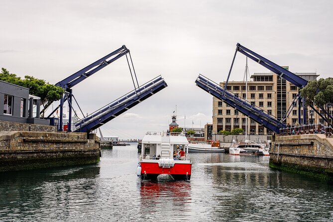 30min Harbour Boat Cruise Cape Town - Meeting Point and Pickup