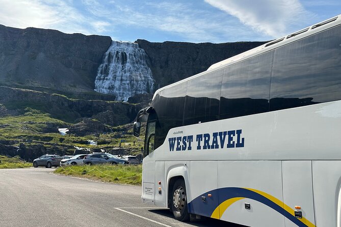 3,5-Hour Sightseeing Tour To Dynjandi Waterfall - Operator and Meeting Point