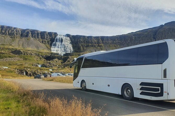 3,5-Hour Sightseeing Tour To Dynjandi Waterfall - Tour Inclusions and Experience