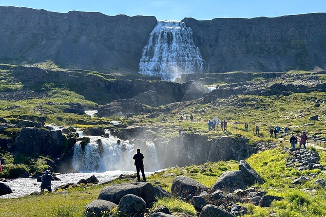 3,5-Hour Sightseeing Tour To Dynjandi Waterfall - Waterfall Exploration
