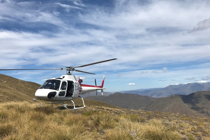 35-Minute Alpine Scenic Flight From Queenstown - Aerial Views and Landing Location