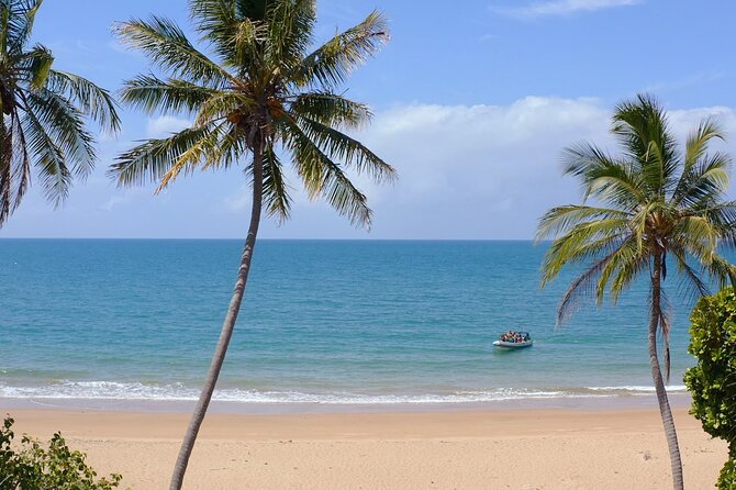 360 Boat Experience to Circumnavigate Magnetic Island - Customer Reviews