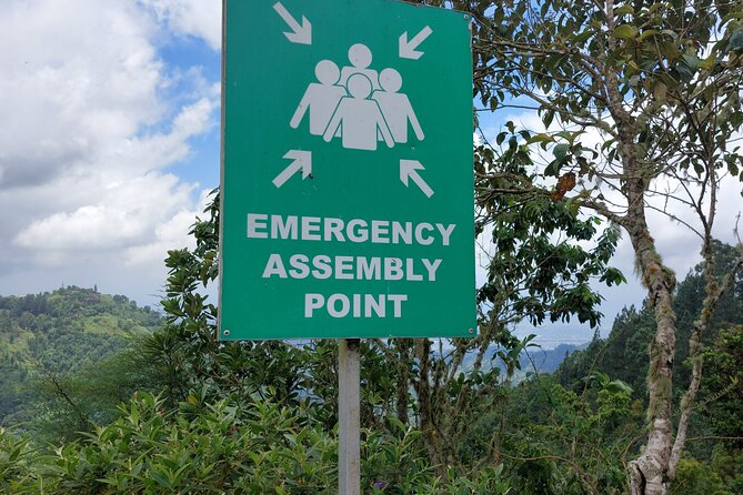 360 Degrees City to Mountain EcoTour Experience - Confirmation and Accessibility