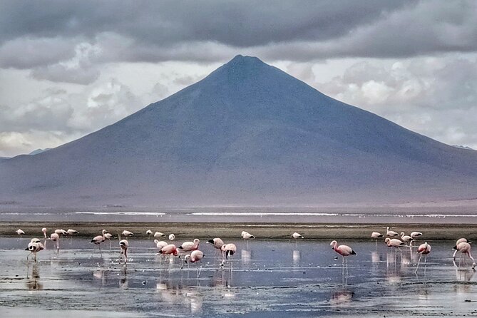 3D 2N Uyuni Salt Flats by Flight From La Paz to Atacama, Chile - Accessibility and Suitability