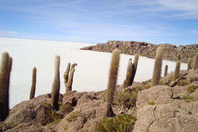3D 2N Uyuni Salt Flats by Flight From La Paz to Atacama, Chile - Pricing and Booking Information