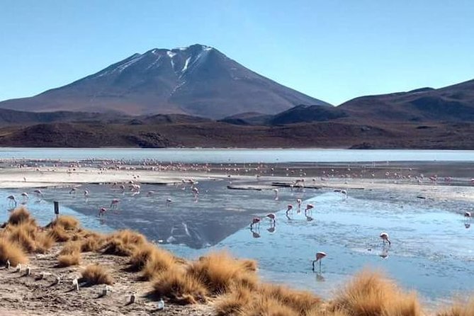 3D 2N Uyuni Salt Flats by Flight From La Paz to Atacama, Chile - Itinerary and Activities