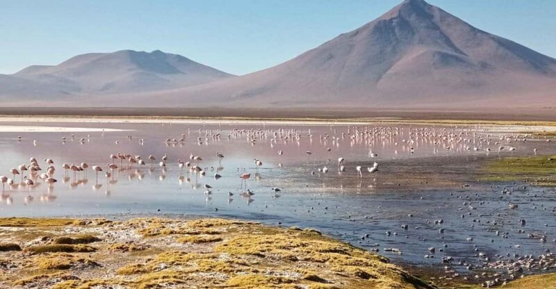 3D and 2N Tour Salar Uyuni Ending in Atacama Chile - Day 1 Experiences