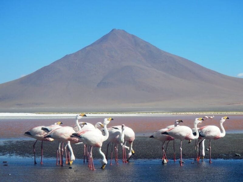 3D and 2N Tour Salar Uyuni Ending in Atacama Chile - Inclusions