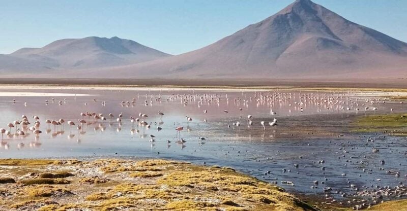 3D and 2N Tour Salar Uyuni Ending in Atacama Chile - Booking Information