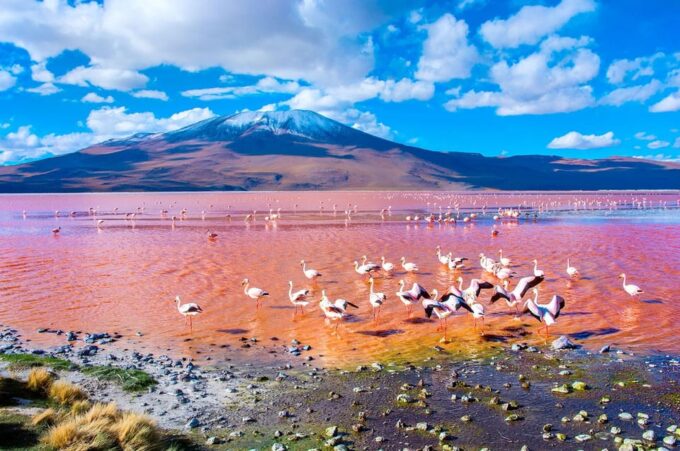 3D PROGRAM 2N UYUNI – SAN PEDRO DE ATACAMA SHARED SERVICE - Included Services