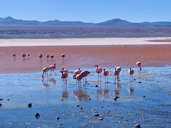 3D PROGRAM 2N UYUNI – SAN PEDRO DE ATACAMA SHARED SERVICE - Recommendations