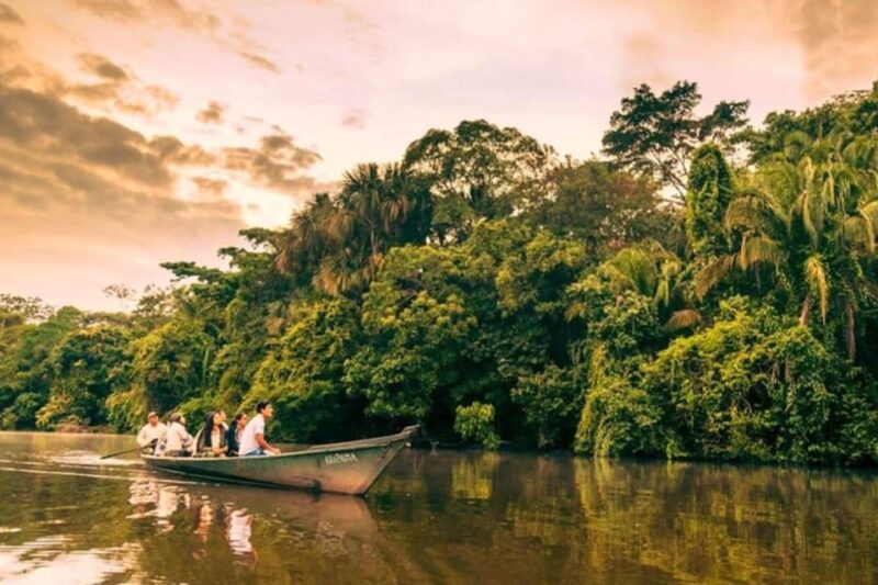 3D|| Tambopata Animal Safari Experience: Trust the Adventure - Observe Macaws at the Clay Lick