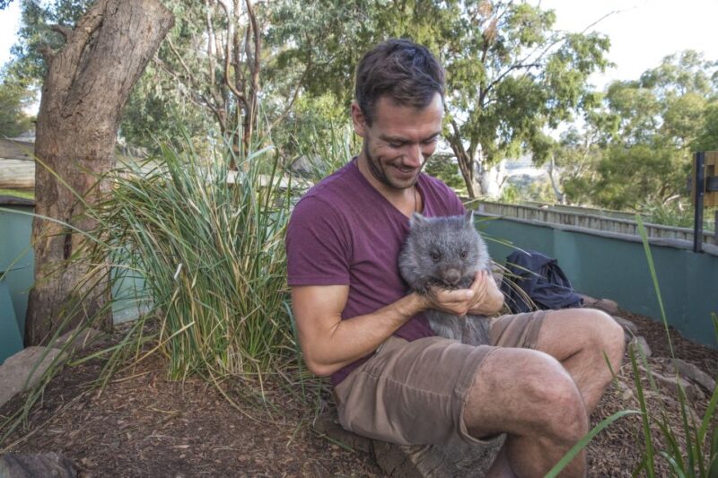 3D Tasmanian Highlights: Hobart, Port Arthur & Bruny Island - Discovering Bruny Islands National Parks