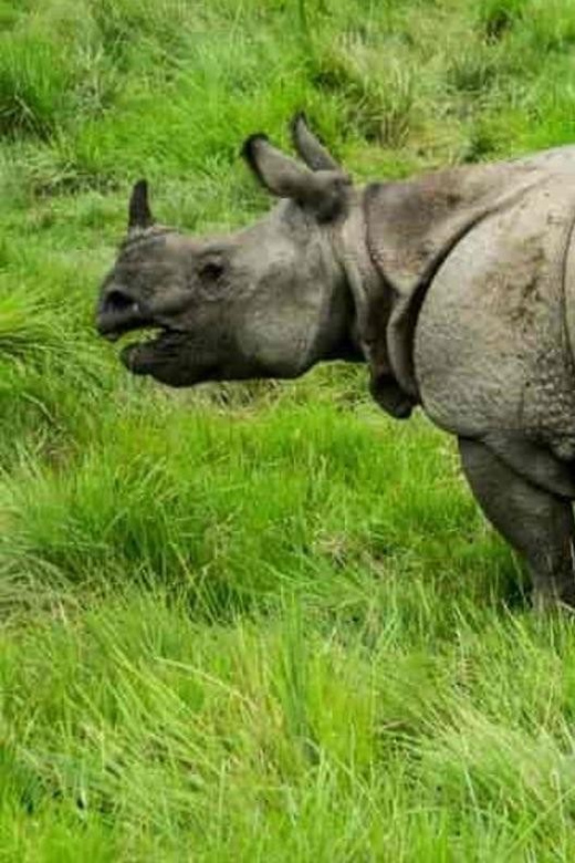 3D2N Chitwan Cultural Heritage Tour From Kathmandu - Accommodation and Meals