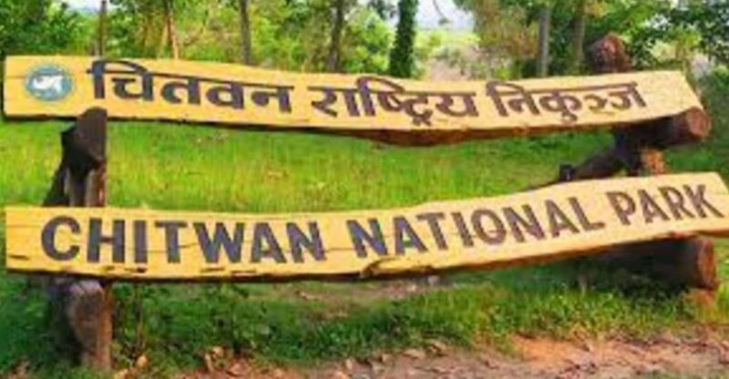 3D2N Chitwan Cultural Heritage Tour From Kathmandu - Wildlife Safari