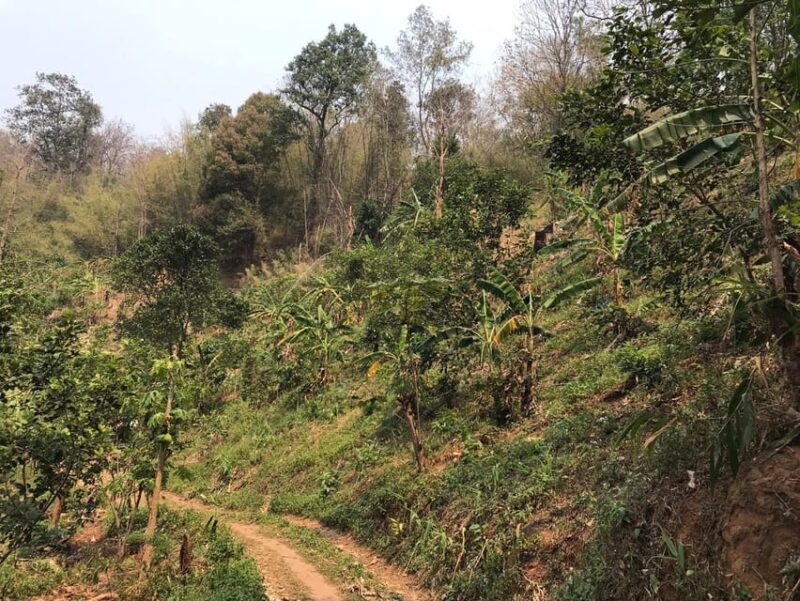 3D2N Eco Cycling, Treckking & Regional Culture Tour - Tour Highlights