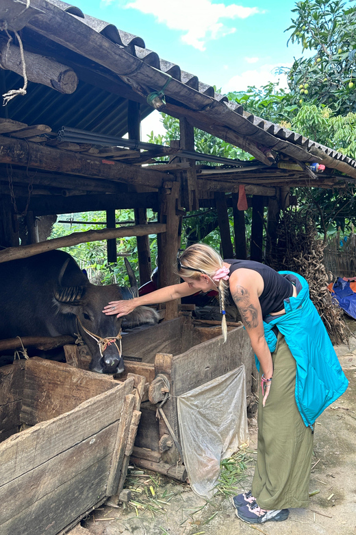 3D2N Ha Giang Loop Motorbike Tour - Camping on The Mountain - Day 3: Meo Vac to Ha Giang