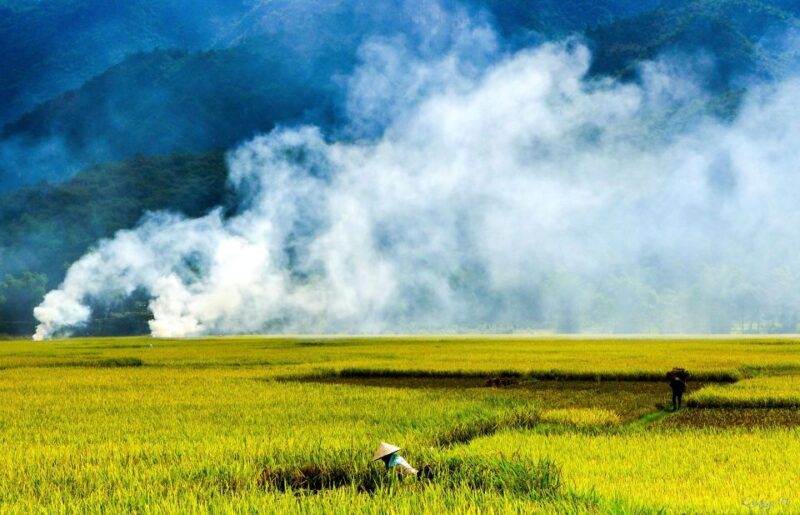 3D2N Mai Chau - Pu Luong for Nature and Culture Lovers - Itinerary Breakdown