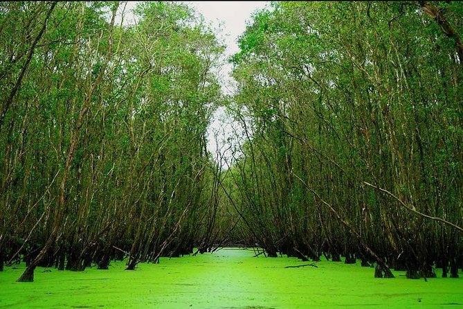 3D2N Mekong - Floating Market - Chau Doc - Boat To Phnom Penh - Tour Overview and Details